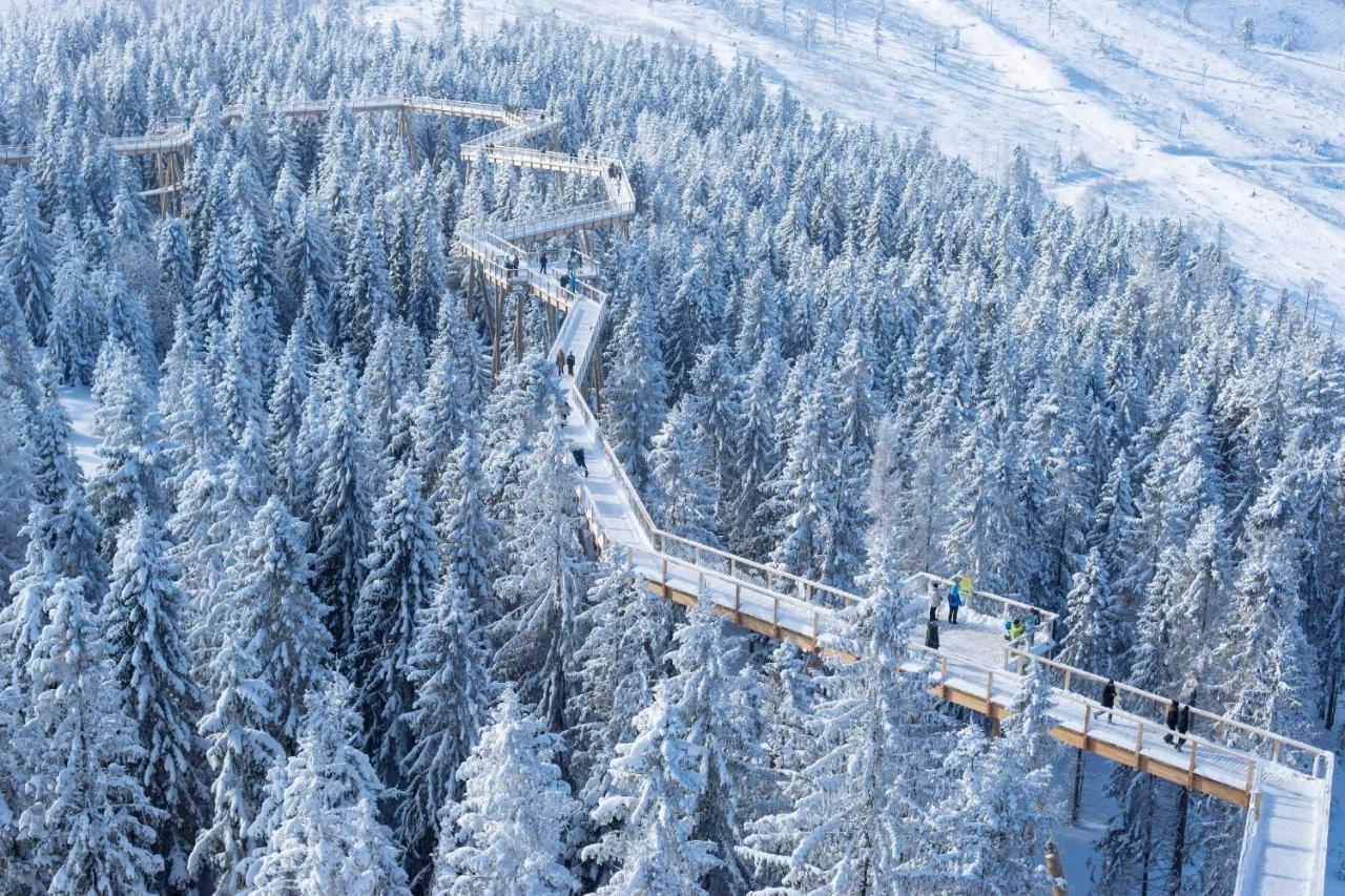 Cozy Mountain Attic Apartment In High Tatras Vel'ka Lomnica Ngoại thất bức ảnh